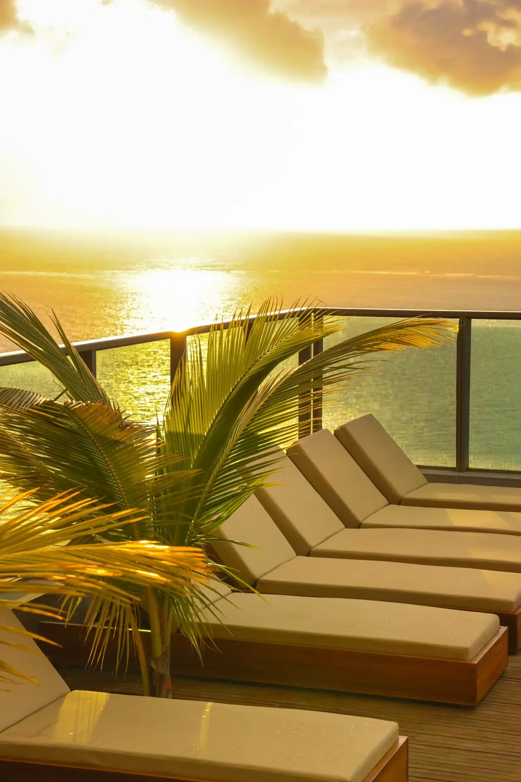 Coqueiros e nascer do sol vistos do rooftop do Sais Beach Living